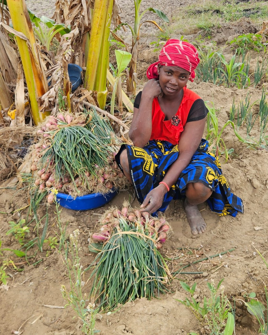 Uma agricultora com a sua colheita de cebolas em Rapale
